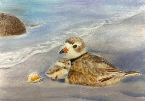 Unleashing Your Creativity: The World of Art Contests in Fairfax, Virginia