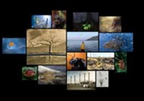Exploring the World of Art Contests in Fairfax, Virginia