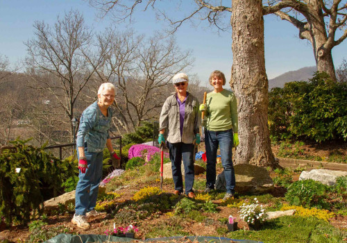 Organizing Art Contests in Fairfax, Virginia: A Guide for Volunteers